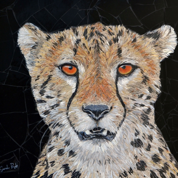 Cheetah-portrait-4