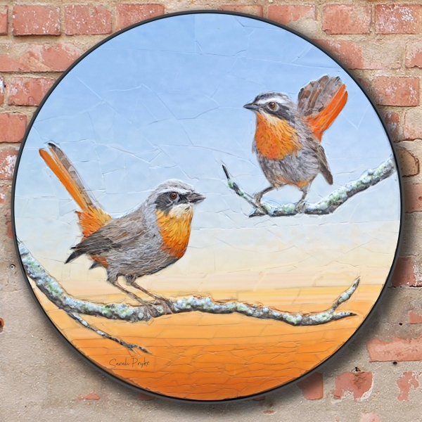 robins-on-wall